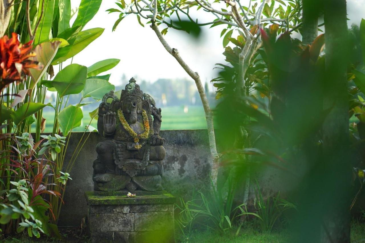 Asri Sari Villa Ubud Exterior photo