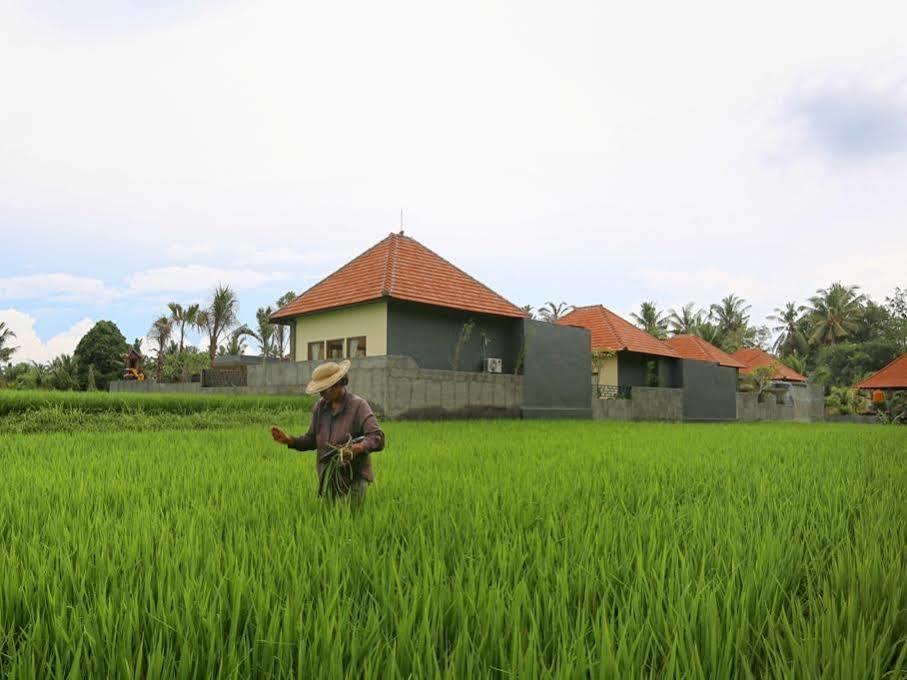 Asri Sari Villa Ubud Exterior photo