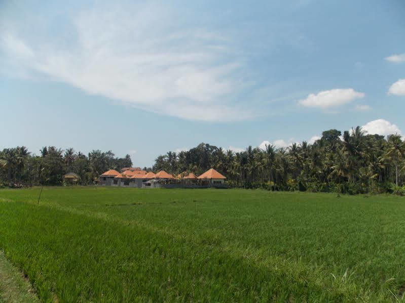 Asri Sari Villa Ubud Exterior photo